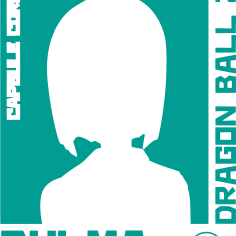 DRAGON-BALL-13